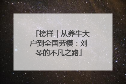 榜样｜从养牛大户到全国劳模：刘琴的不凡之路