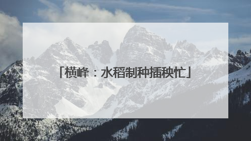 横峰：水稻制种插秧忙