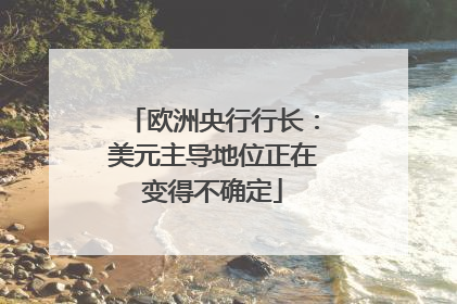 欧洲央行行长：美元主导地位正在变得不确定