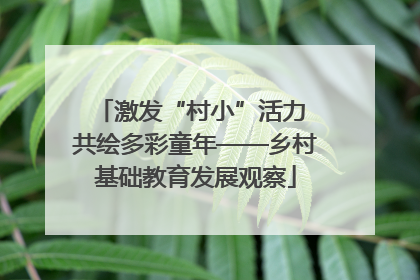 激发“村小”活力 共绘多彩童年——乡村基础教育发展观察