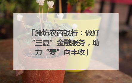 潍坊农商银行：做好“三夏”金融服务，助力“麦”向丰收