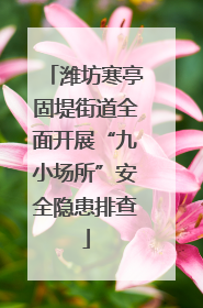潍坊寒亭固堤街道全面开展“九小场所”安全隐患排查