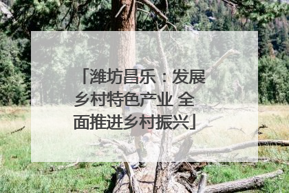 潍坊昌乐：发展乡村特色产业 全面推进乡村振兴