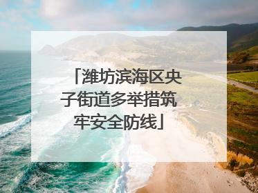 潍坊滨海区央子街道多举措筑牢安全防线