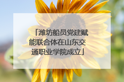 潍坊船员党建赋能联合体在山东交通职业学院成立