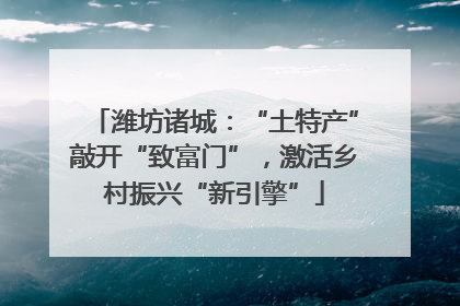 潍坊诸城：“土特产”敲开“致富门”，激活乡村振兴“新引擎”