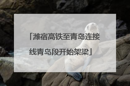 潍宿高铁至青岛连接线青岛段开始架梁