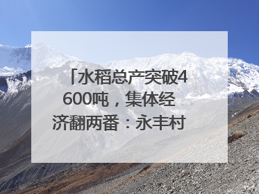 水稻总产突破4600吨，集体经济翻两番：永丰村的三年蜕变｜您牵挂的四川