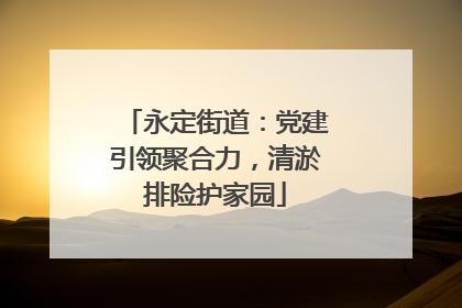 永定街道：党建引领聚合力，清淤排险护家园