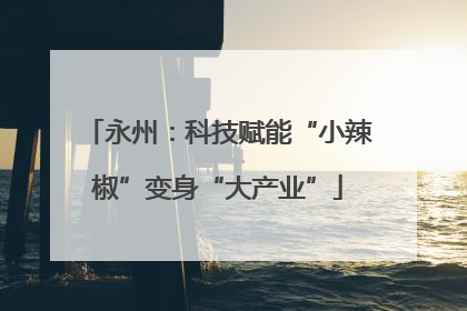 永州：科技赋能“小辣椒”变身“大产业”