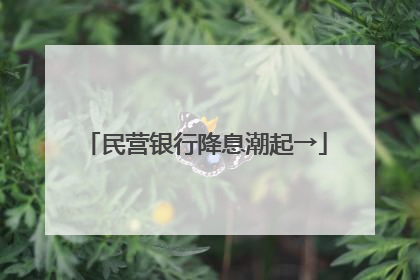 民营银行降息潮起→