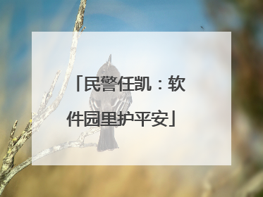 民警任凯：软件园里护平安