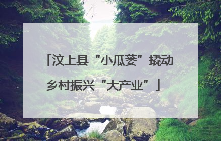 汶上县“小瓜蒌”撬动乡村振兴“大产业”