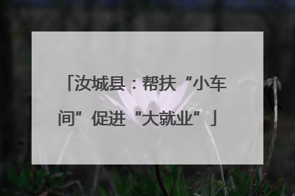 汝城县：帮扶“小车间”促进“大就业”