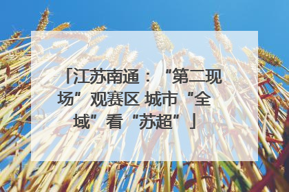江苏南通：“第二现场”观赛区 城市“全域”看“苏超”