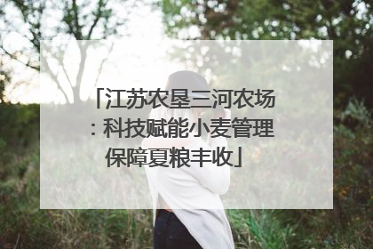 江苏农垦三河农场：科技赋能小麦管理保障夏粮丰收