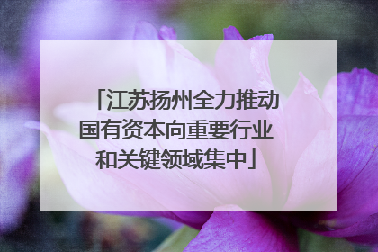 江苏扬州全力推动国有资本向重要行业和关键领域集中