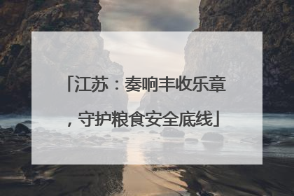 江苏：奏响丰收乐章，守护粮食安全底线