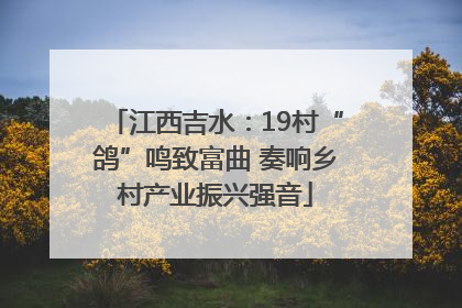 江西吉水：19村“鸽”鸣致富曲 奏响乡村产业振兴强音