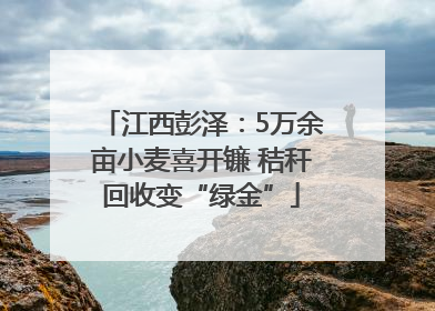 江西彭泽：5万余亩小麦喜开镰 秸秆回收变“绿金”
