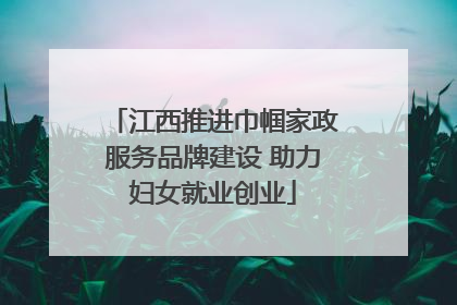 江西推进巾帼家政服务品牌建设 助力妇女就业创业