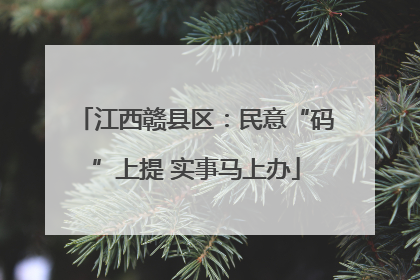 江西赣县区：民意“码”上提 实事马上办