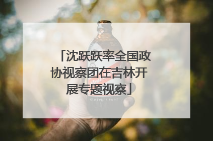 沈跃跃率全国政协视察团在吉林开展专题视察