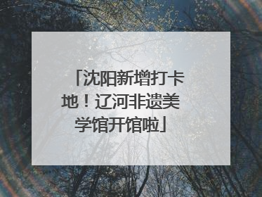 沈阳新增打卡地！辽河非遗美学馆开馆啦