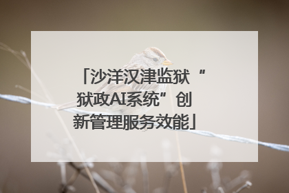 沙洋汉津监狱“狱政AI系统”创新管理服务效能