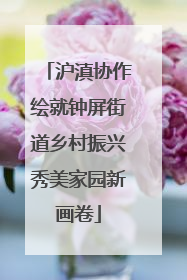 沪滇协作绘就钟屏街道乡村振兴秀美家园新画卷