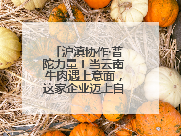 沪滇协作·普陀力量〡当云南牛肉遇上意面，这家企业迈上自研发展快车道