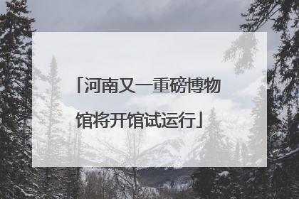 河南又一重磅博物馆将开馆试运行