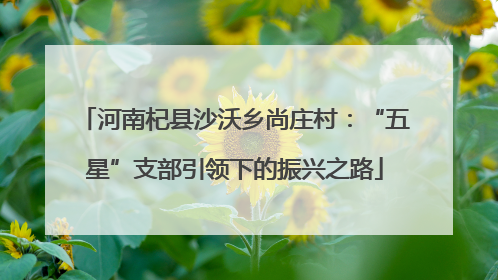 河南杞县沙沃乡尚庄村：“五星”支部引领下的振兴之路