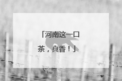 河南这一口茶，真香！