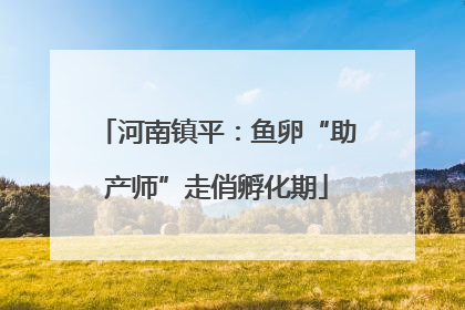 河南镇平：鱼卵“助产师”走俏孵化期