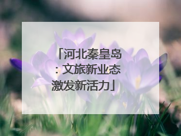 河北秦皇岛：文旅新业态激发新活力