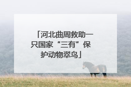 河北曲周救助一只国家“三有”保护动物翠鸟