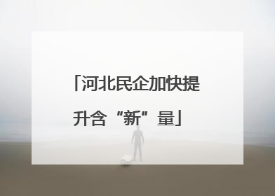 河北民企加快提升含“新”量