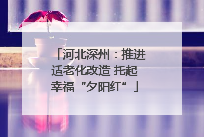 河北深州：推进适老化改造 托起幸福“夕阳红”