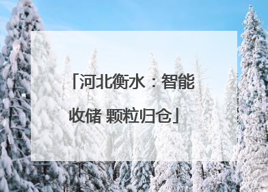 河北衡水：智能收储 颗粒归仓