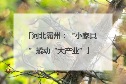 河北霸州：“小家具”撬动“大产业”