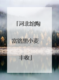 河北馆陶富铬黑小麦丰收