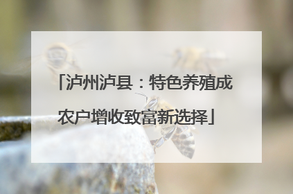 泸州泸县：特色养殖成农户增收致富新选择