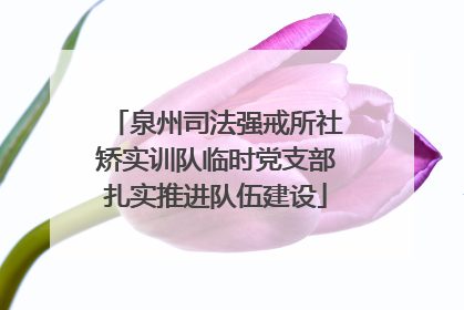 泉州司法强戒所社矫实训队临时党支部扎实推进队伍建设