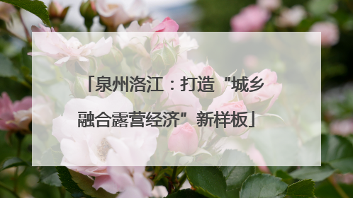 泉州洛江：打造“城乡融合露营经济”新样板