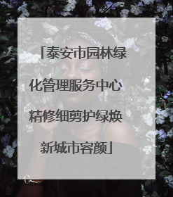 泰安市园林绿化管理服务中心精修细剪护绿焕新城市容颜