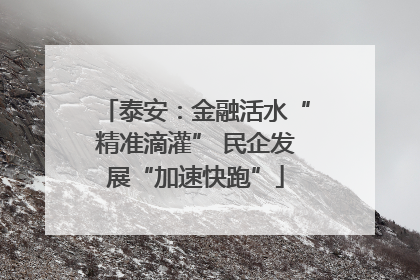 泰安：金融活水“精准滴灌” 民企发展“加速快跑”