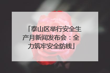 泰山区举行安全生产月新闻发布会：全力筑牢安全防线