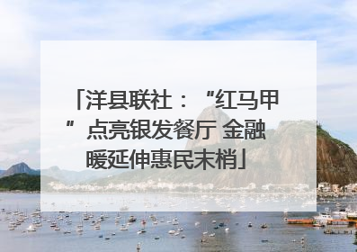 洋县联社：“红马甲”点亮银发餐厅 金融暖延伸惠民末梢