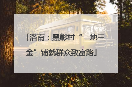 洛南：黑彰村“一地三金”铺就群众致富路